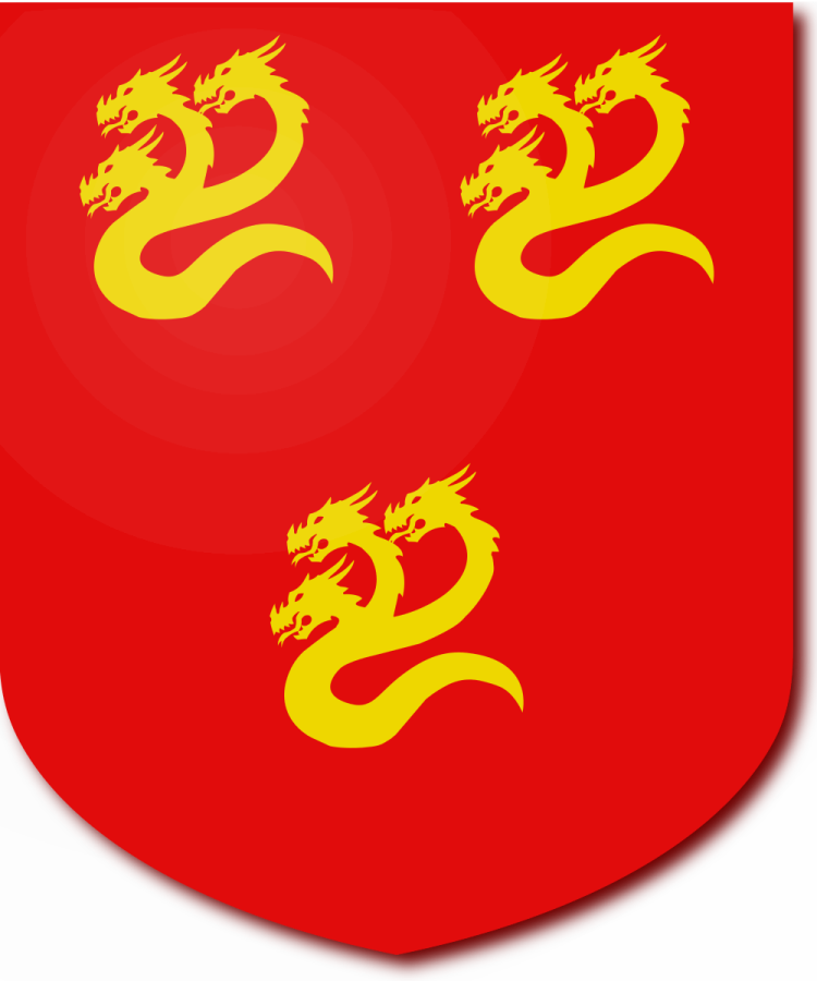 Shield image