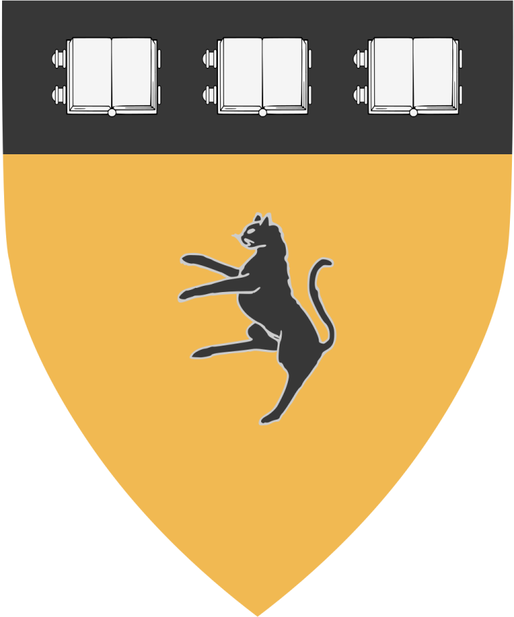 Shield image