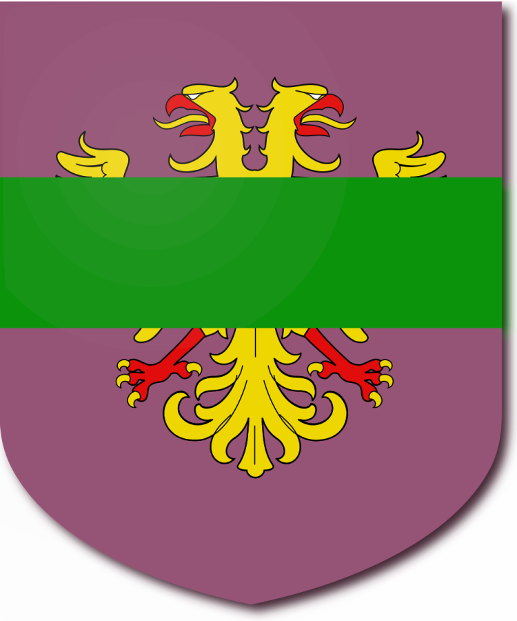 Shield image