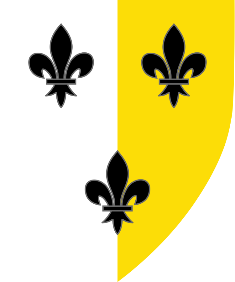 Shield image