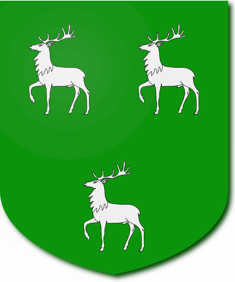 Shield image