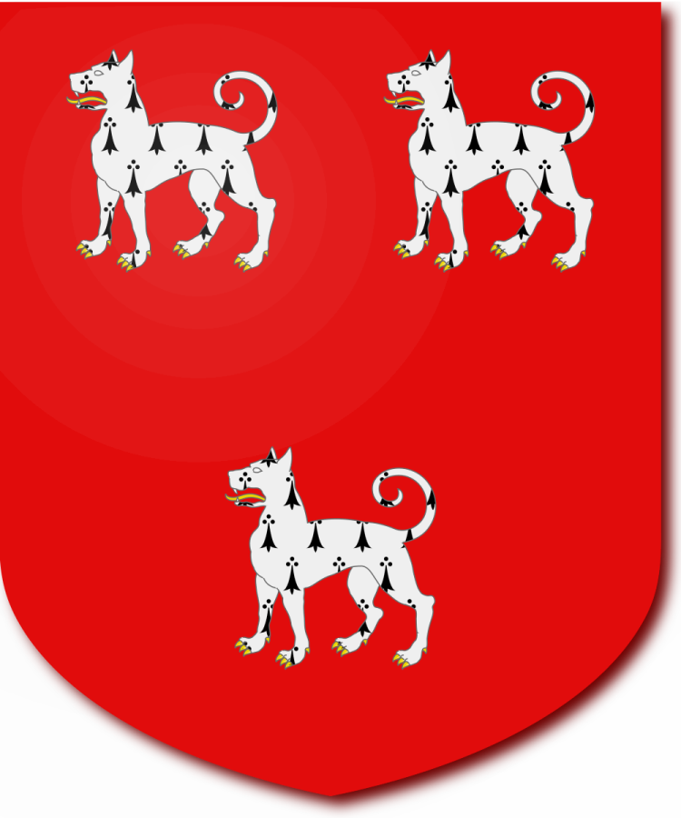 Shield image