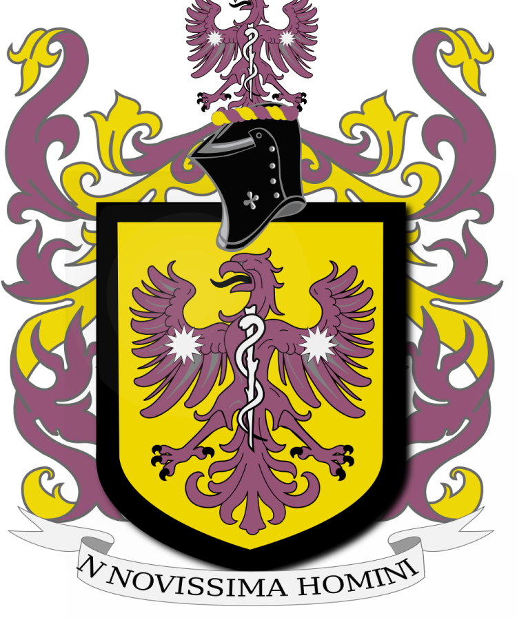 Shield image