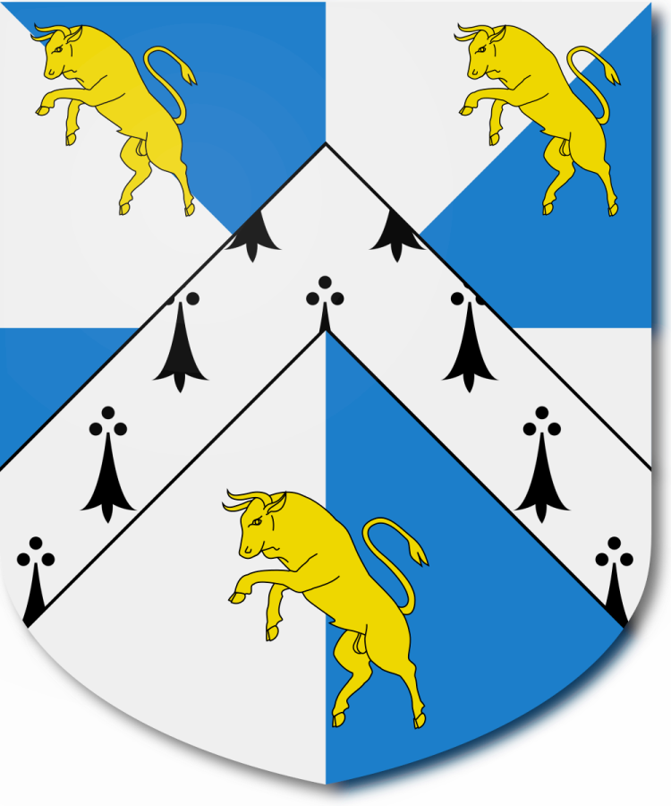 Shield image