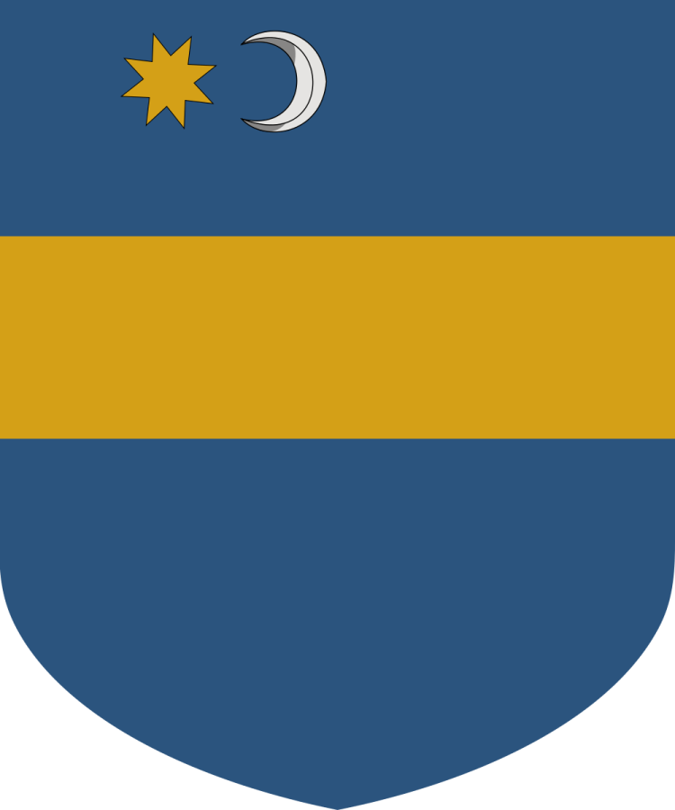 Shield image