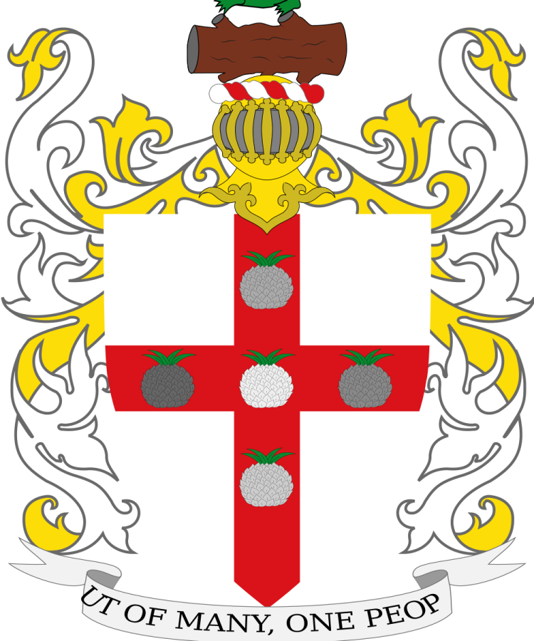 Shield image