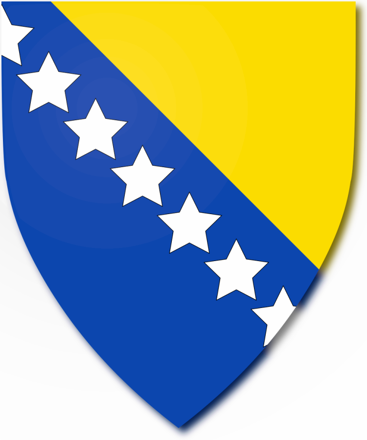 Shield image