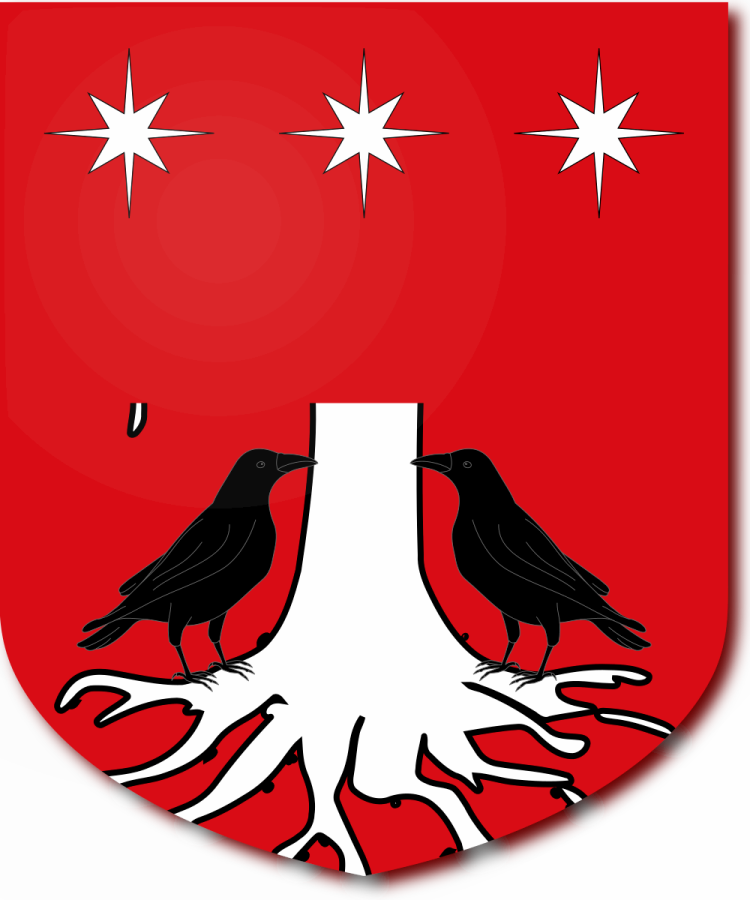 Shield image