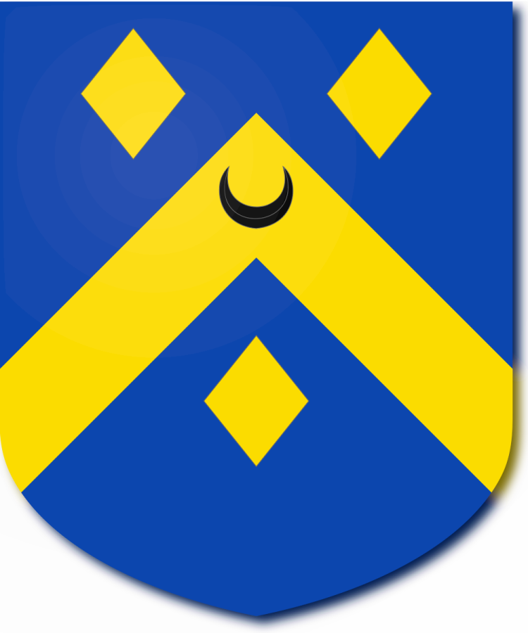 Shield image