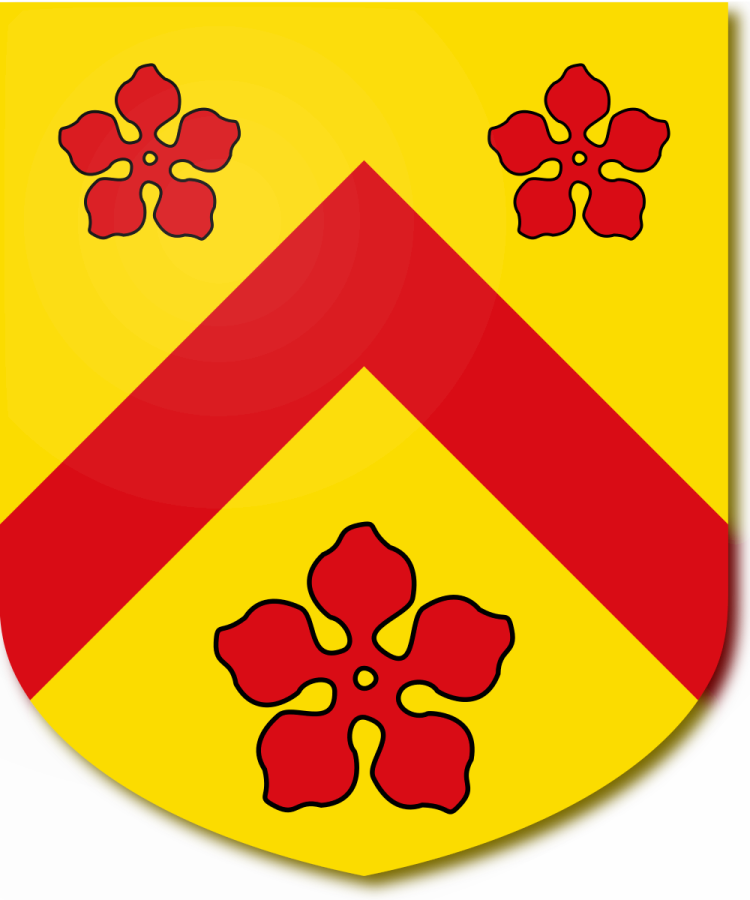 Shield image