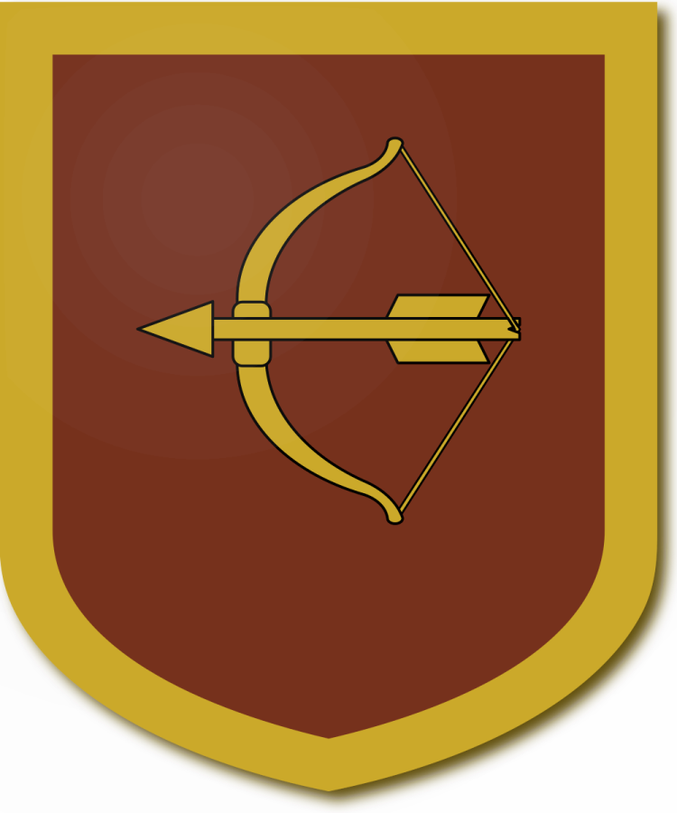 Shield image