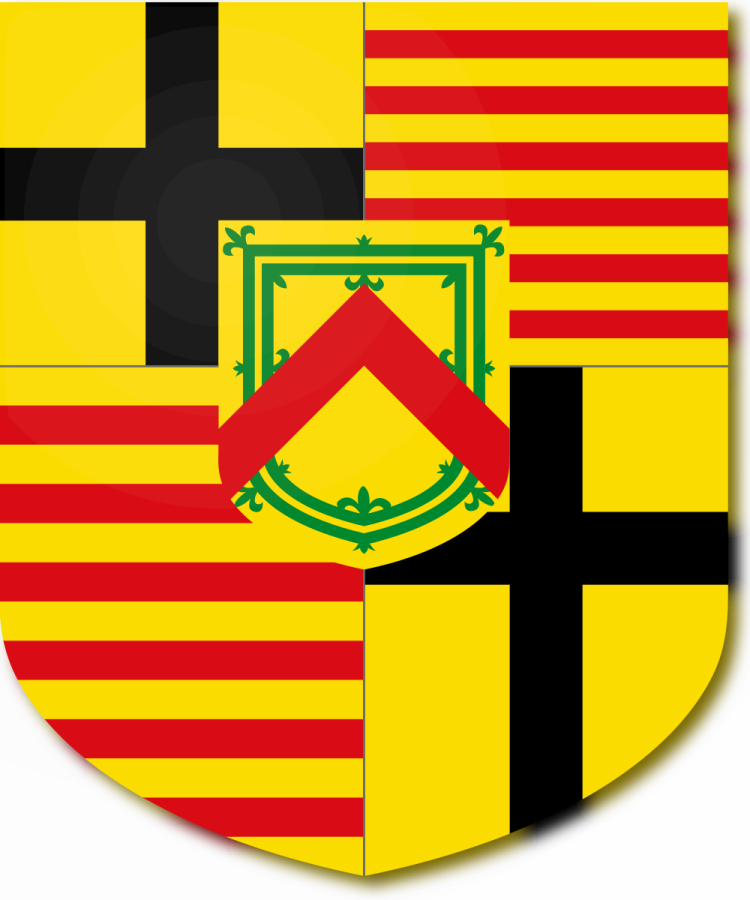 Shield image