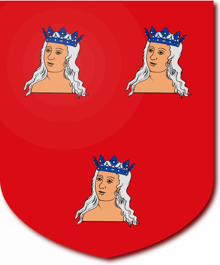 Shield image