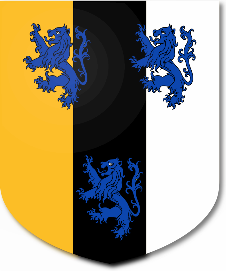 Shield image