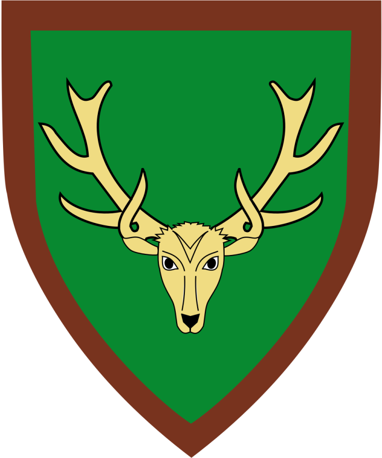 Shield image