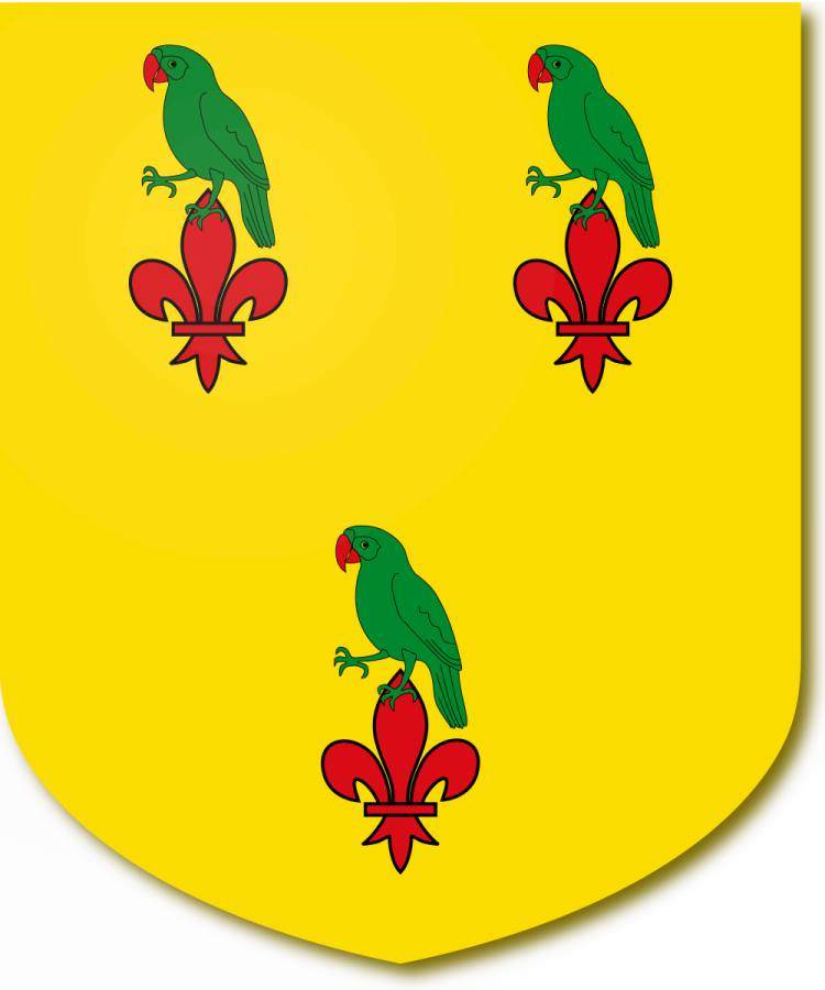 Shield image