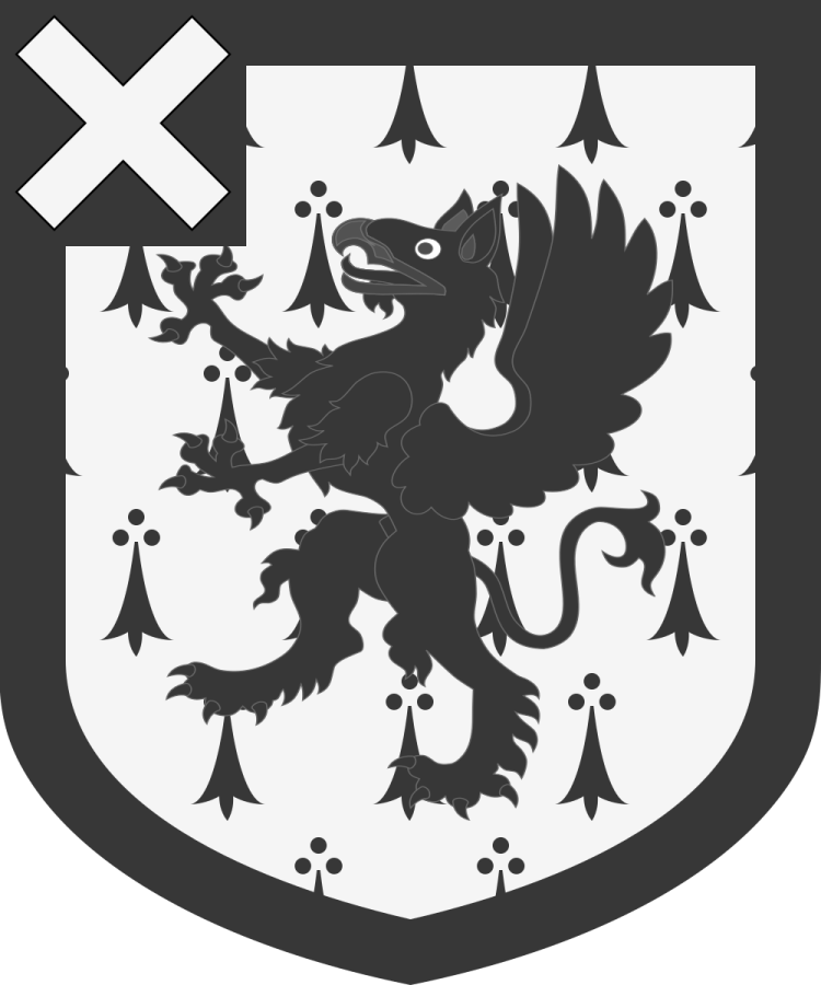 Shield image