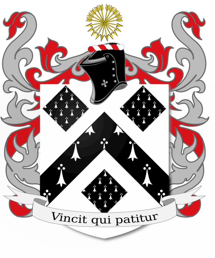 Shield image