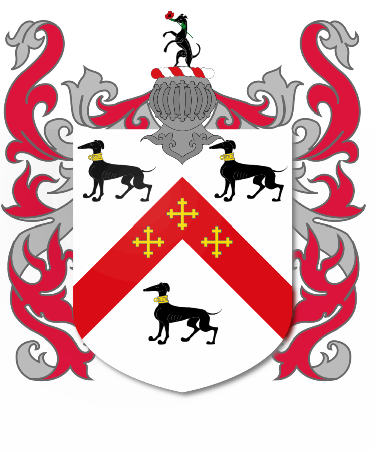 Shield image