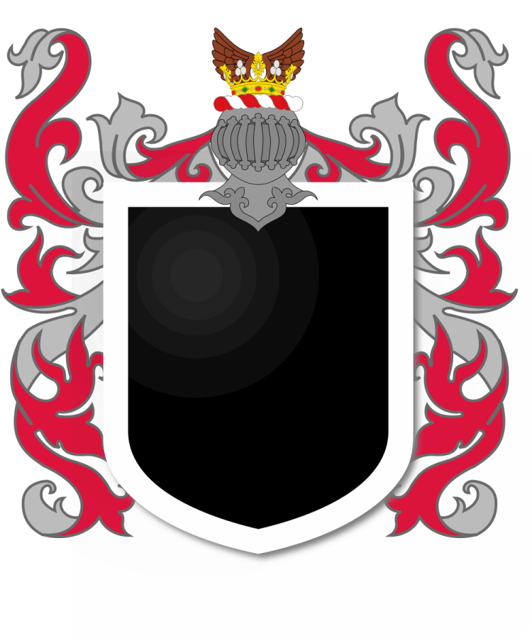 Shield image