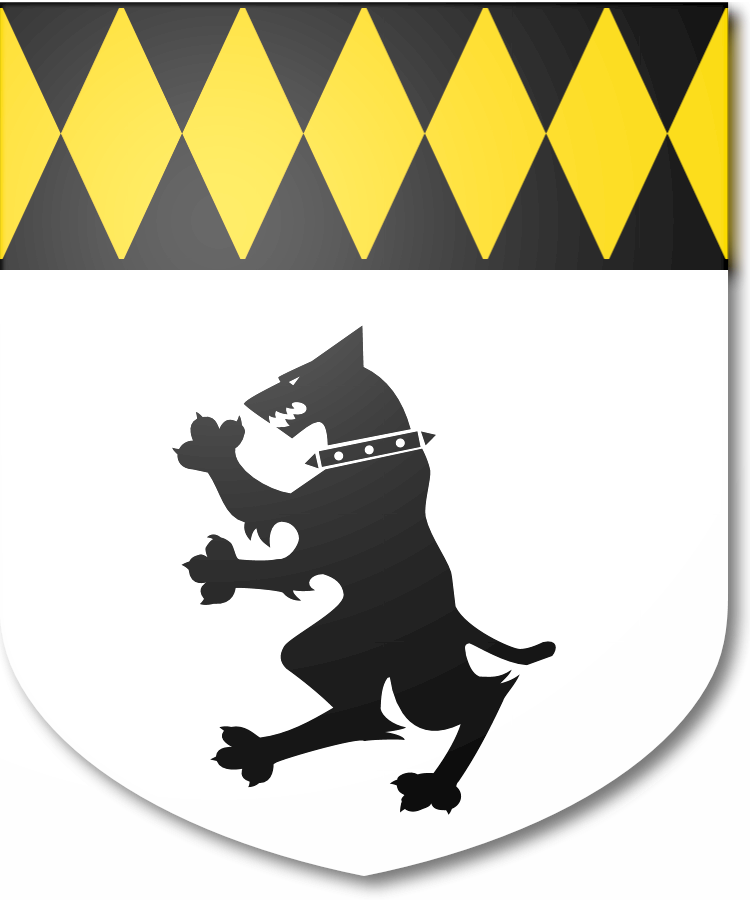 Shield image