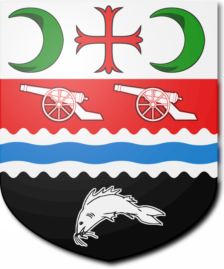 Shield image