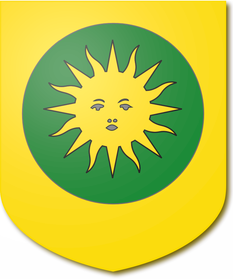 Shield image