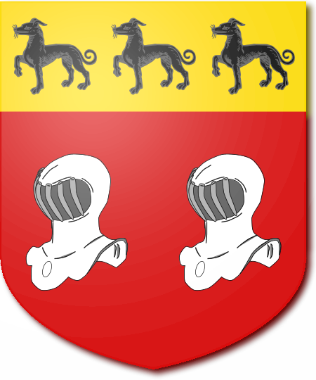 Shield image