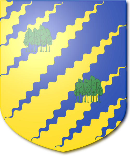 Shield image