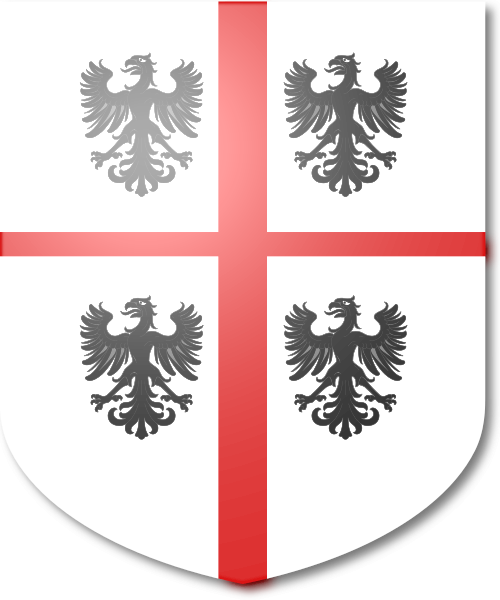 Shield image