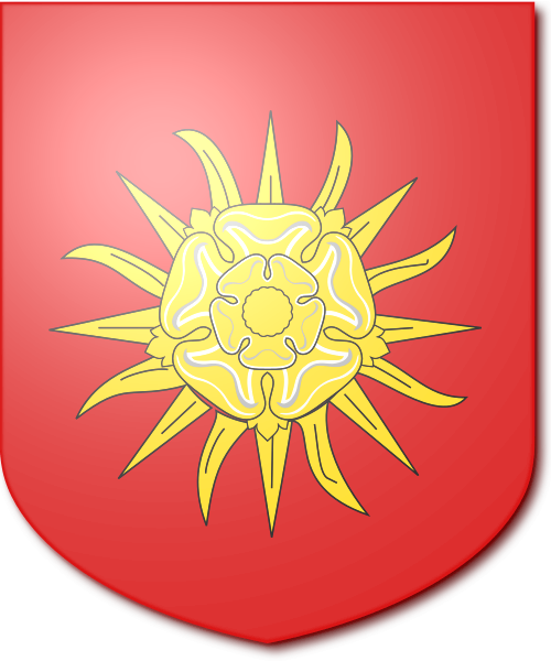 Shield image