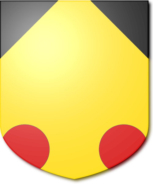 Shield image
