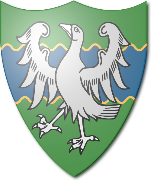 Shield image
