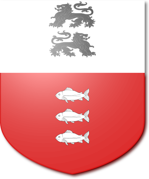 Shield image