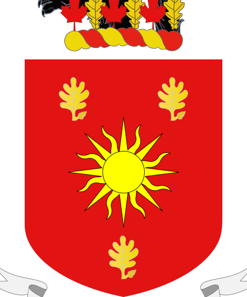 Shield image
