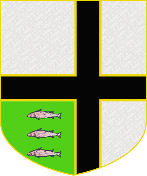 Shield image