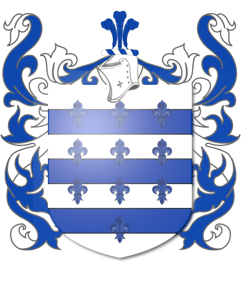 Shield image