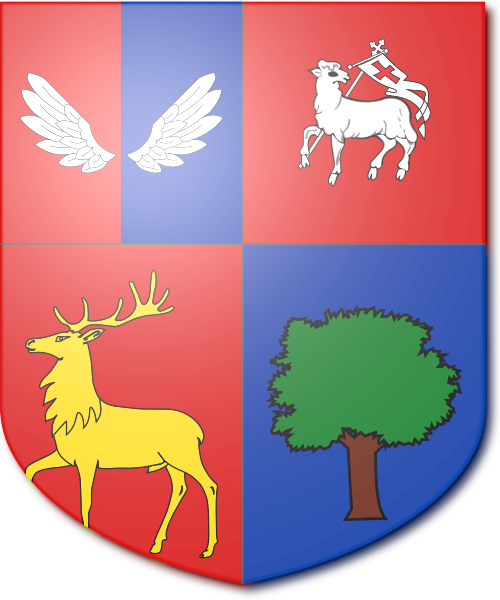Shield image