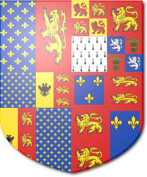 Shield image
