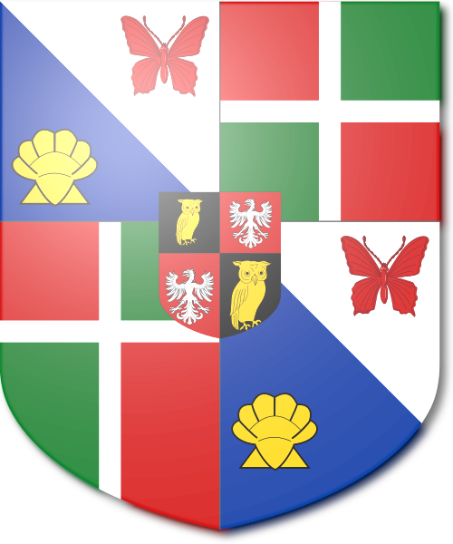 Shield image