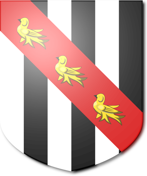 Shield image
