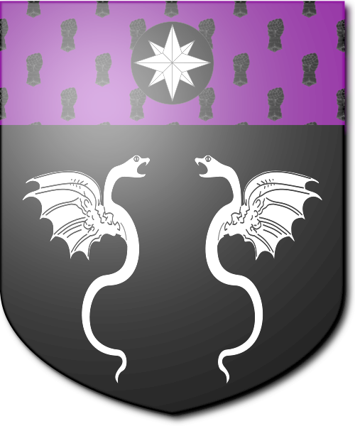 Shield image
