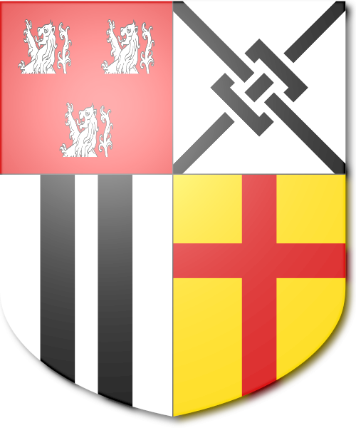 Shield image