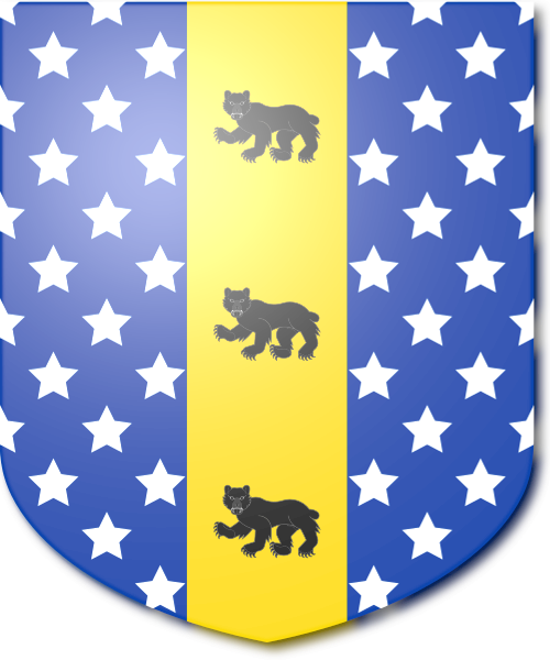 Shield image