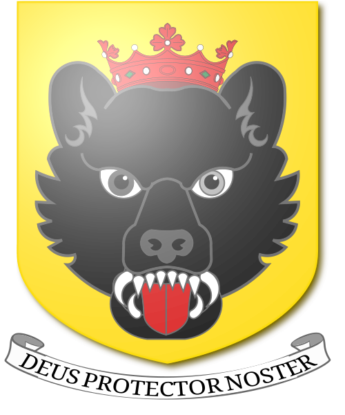 Shield image