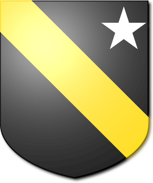 Shield image