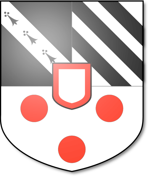 Shield image