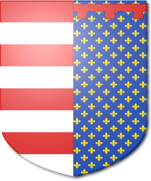 Shield image