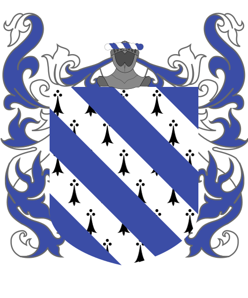 Shield image