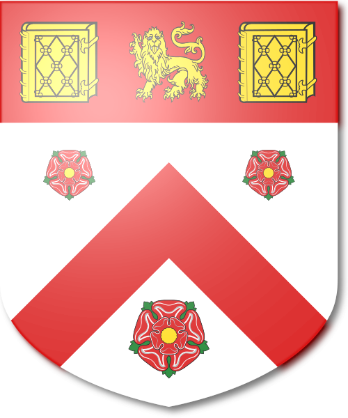 Shield image